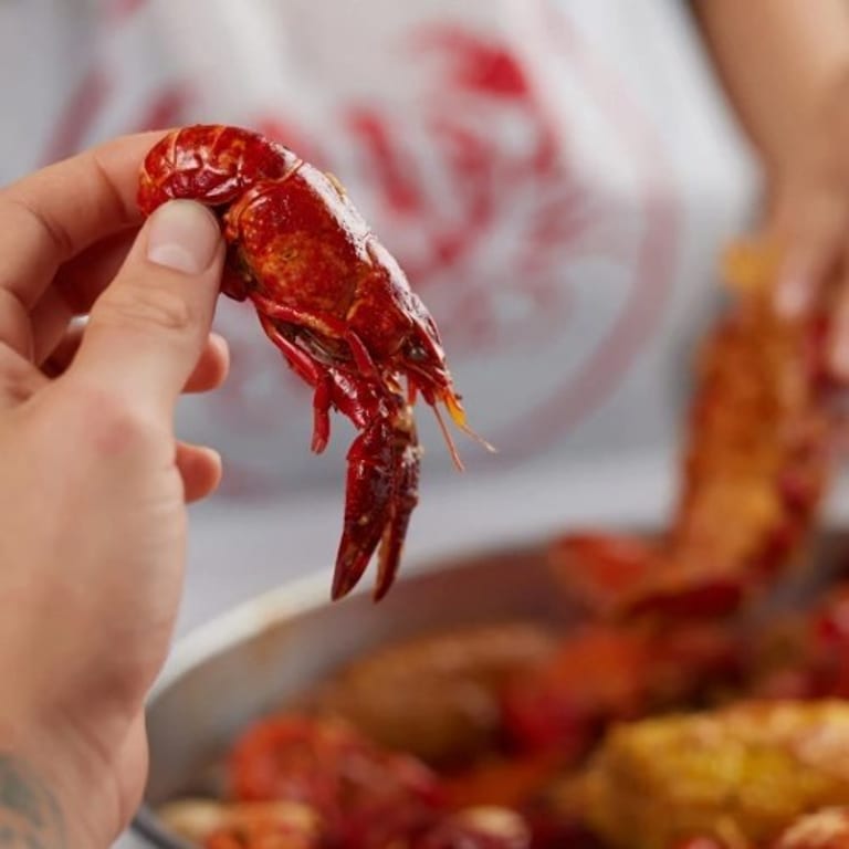 Delicious Crawfish Dishes